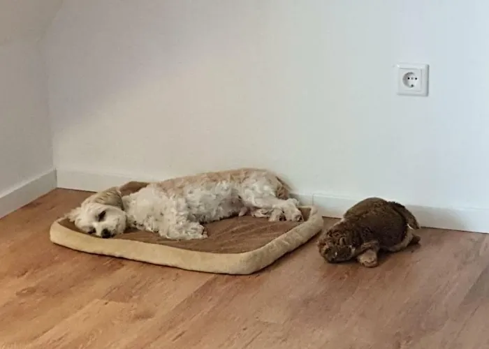 Appartamento Waldblick *